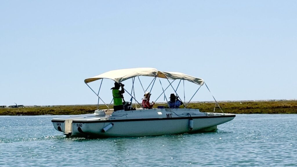 Local eco-guide explaining the Ria Formosa ecosystem and marine biodiversity to a family during an eco-friendly boat tour