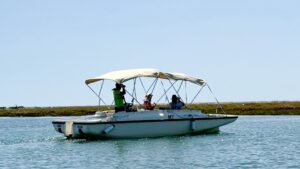 Local eco-guide explaining the Ria Formosa ecosystem and marine biodiversity to a family during an eco-friendly boat tour