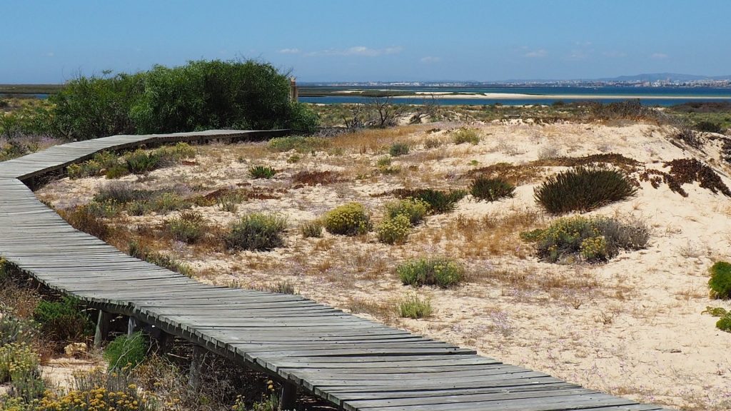 Dunes de sable des Îles de Ria Formosa, Faro - Algarve