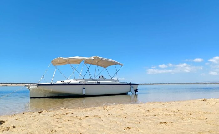 Private Eco Boat Tour in Ria Formosa out of Faro, Algarve