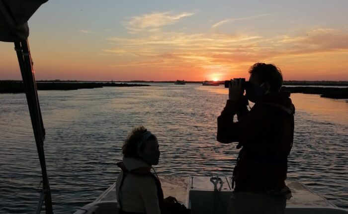 Turistas a apreciar o pôr-do-sol nos nossos passeios de barco ecológico na Ria Formosa a partir de Faro, Algarve - Portugal