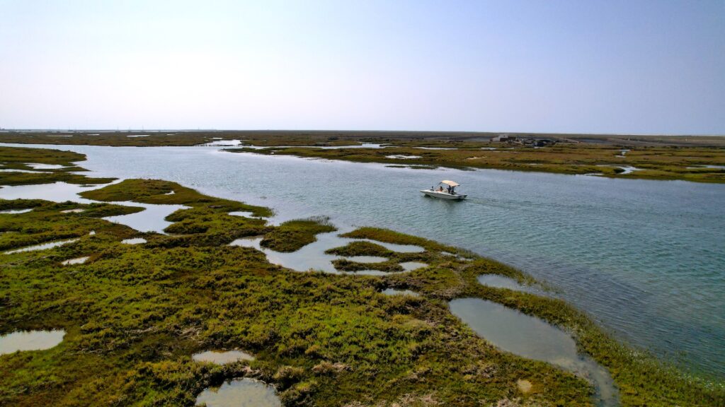A solar powered boat navigates a winding waterway through lush green marshlands under a clear blue sky in Ria Formosa Nature Park