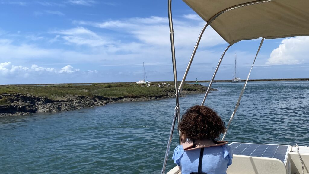 A woman with curly hair sits on a Lands - Eco Boat Tours' boat tour, gazing at sailboats near green marshland under a blue sky with scattered clouds.